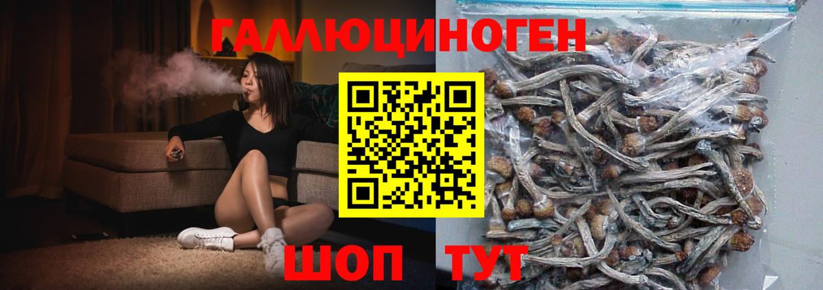 Дмитров  Псилоцибиновые грибы Psilocybine cubensis  Вход с VPN  Псилоцибиновые грибы мухоморы 